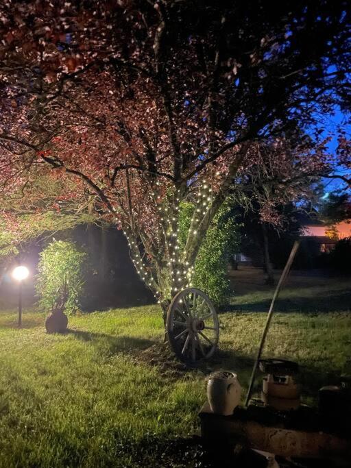 La Casa Del Papa - Maison Spacieuse Avec Jardin Dole Extérieur photo