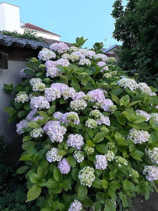 La Casa Del Papa - Maison Spacieuse Avec Jardin Dole Extérieur photo